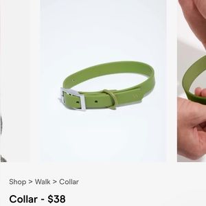 Wild One Dog Collar